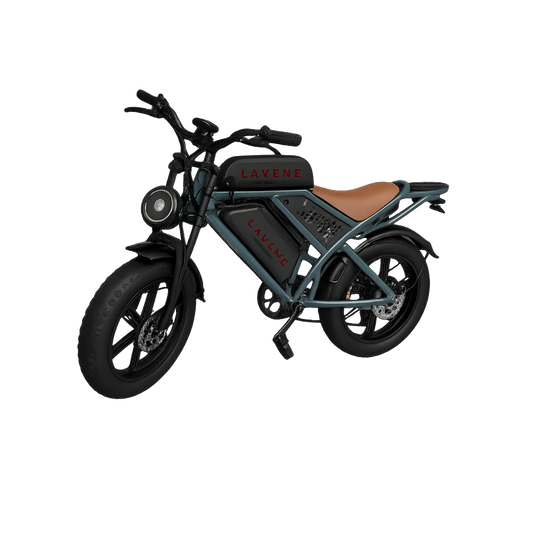 Lavene QS7 Electric Bicycle